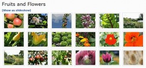 Fruits and Flowers - Photo Gallery