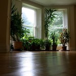 Meditation at Gaia House - walking room
